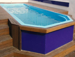 Fiberglass Bean Shape Swimming Pool Manufacturer in Delhi